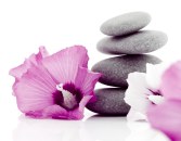 HOLISTIC MASSAGE & HYPNOTHERAPY