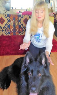 ANIMAL HEALING THERAPY. healingAris