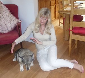 ANIMAL HEALING THERAPY. HealingOscar